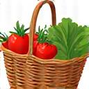 Illustration of a basket overflowing with fresh garden vegetables
