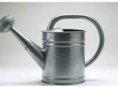 Classic galvanized steel watering can with a fine rose attachment, standing on a garden path.